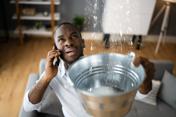 Best Basement water damage restoration  in Maryville, MO