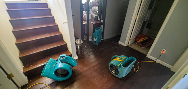 Best Ceiling water damage repair  in Maryville, MO