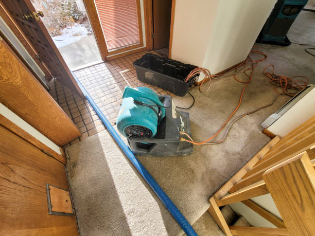 Professional Water damage restoration in Maryville, MO