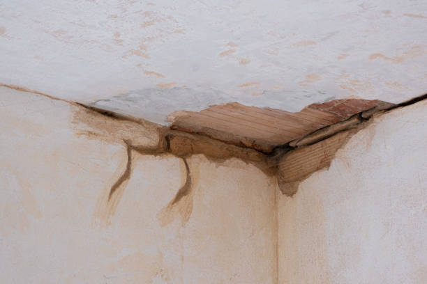 Best Emergency water damage restoration  in Maryville, MO