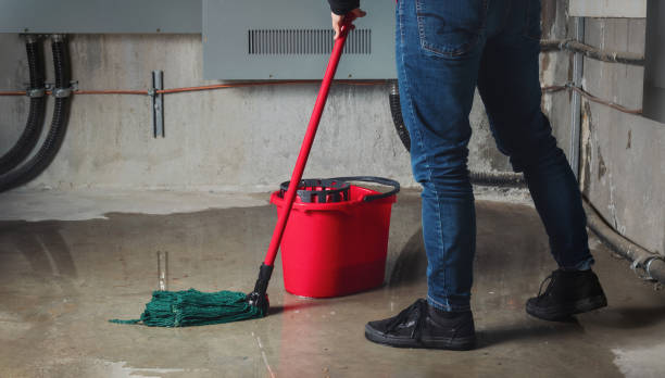 Best Mold removal after water damage  in Maryville, MO