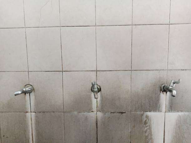 Best Mold removal after water damage  in Maryville, MO