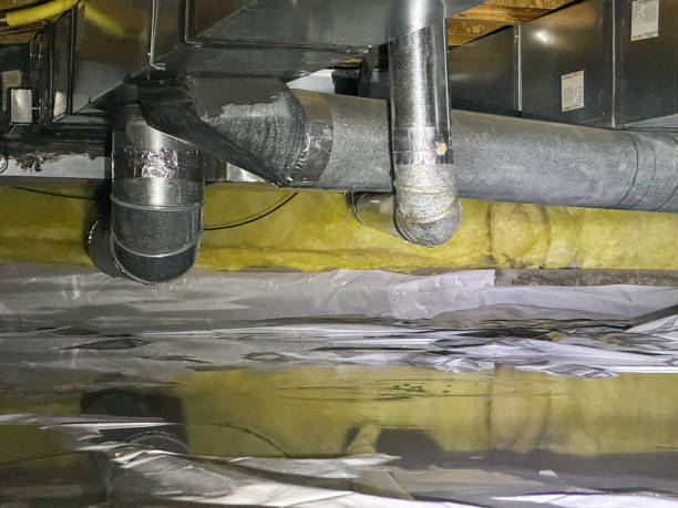 Best Flooded house restoration  in Maryville, MO