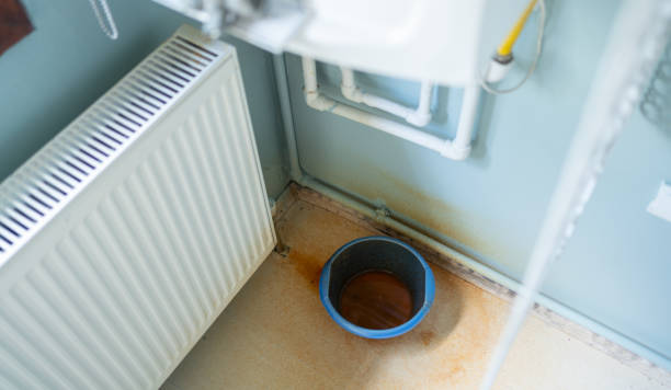 Best Water damage restoration experts  in Maryville, MO