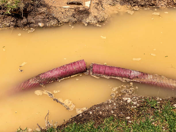 Best Water damage cleanup near me  in Maryville, MO